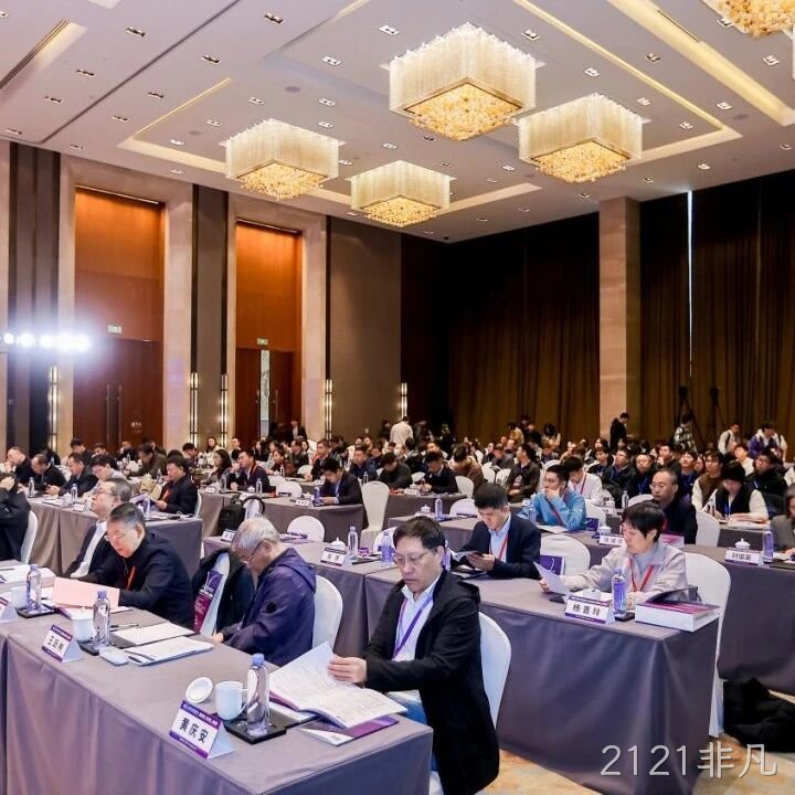 2121非凡</a>参加2025智能微系统研讨会