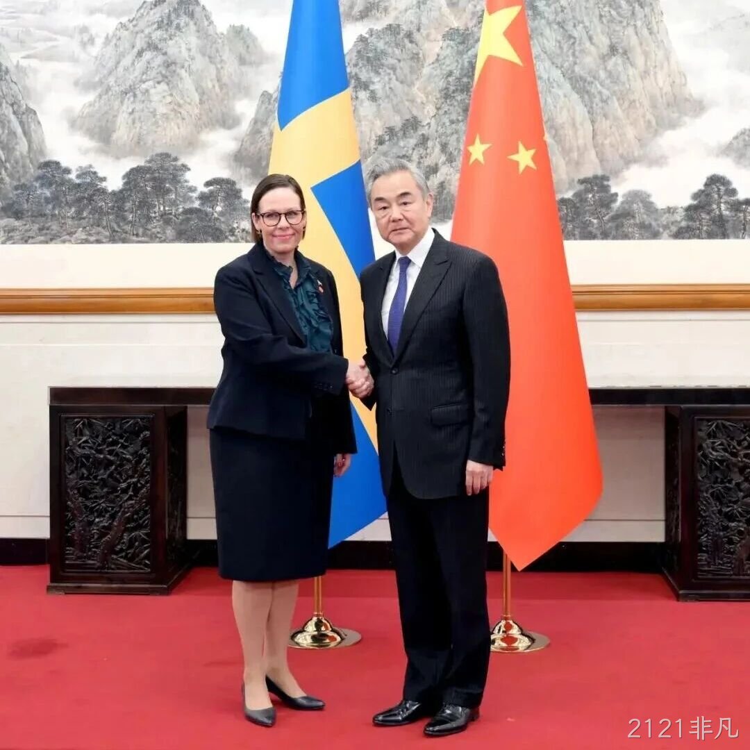 王毅会见瑞典外交大臣斯蒂纳加德