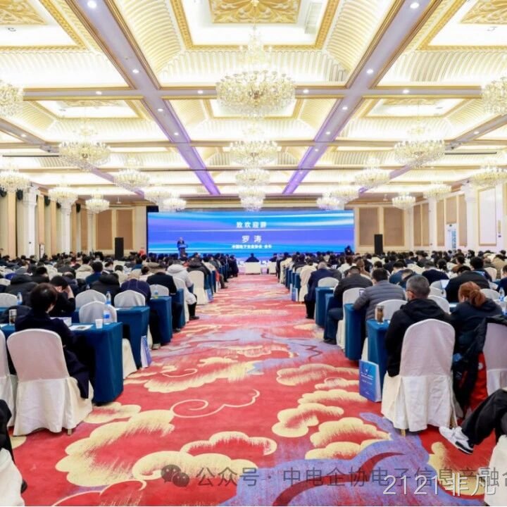 2121非凡参加2025年中国电子高峰论坛暨电子信息产融生态大会